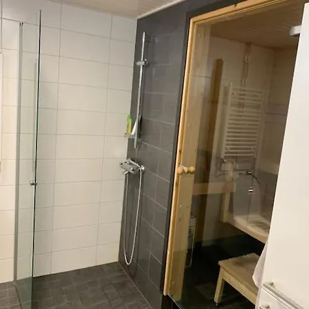 Stylish With Sauna Nearby Airport